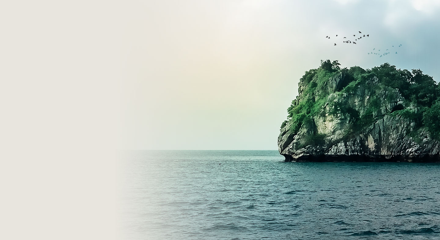 Nông Sản Xuất Khẩu 