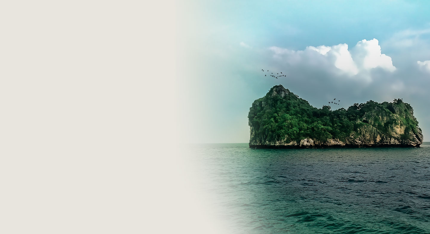 Bộ quà tặng Tổ yến sào