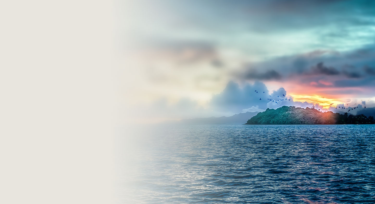 Bộ quà tặng Yến sâm