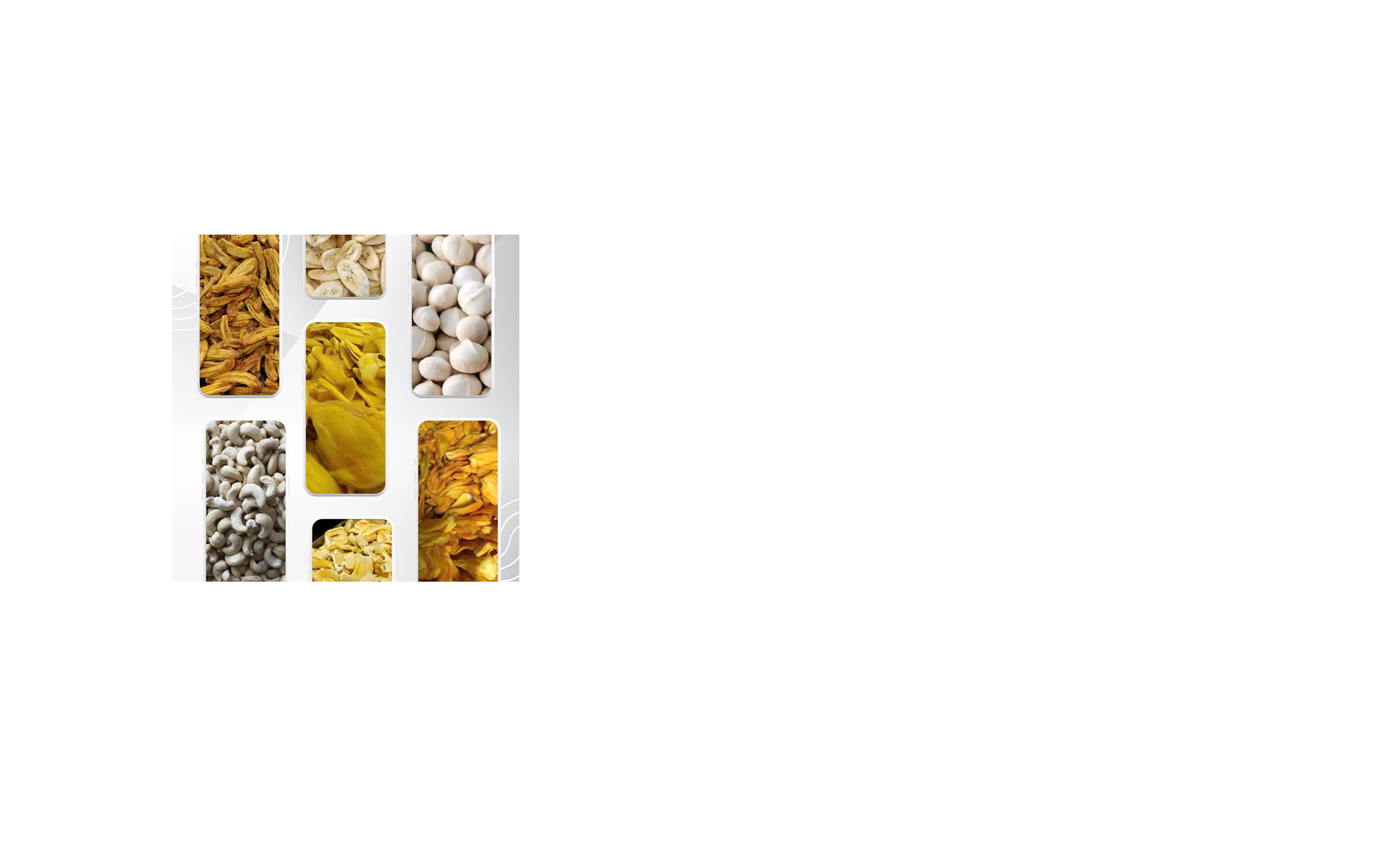 Nông Sản Xuất Khẩu 