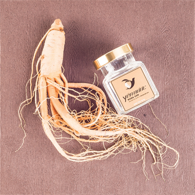 Yến nước nhân sâm 