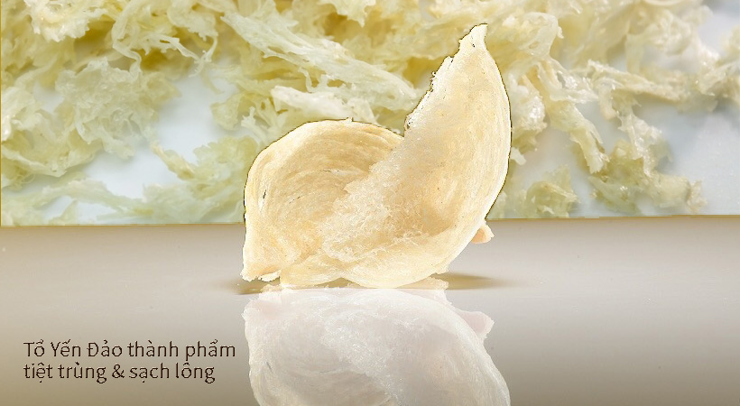 Tổ yến sào thành phẩm chuẩn an toàn thực phẩm